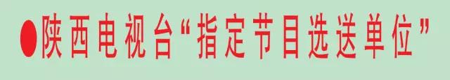 陕西电视台“指定节目选送单位”